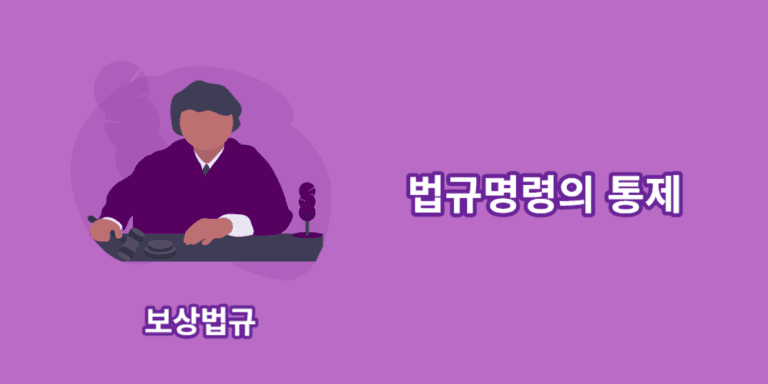 법규명령의통제